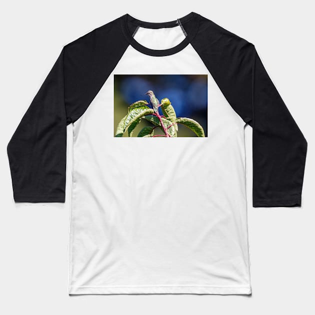 Hummingbird perched on a tree Baseball T-Shirt by blossomcophoto